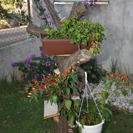 With Parking Space - Diklo, - 5875 扎达尔