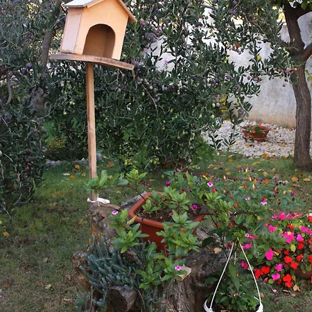 Apartments With Parking Space Zadar - Diklo, Zadar - 5875 Apartment