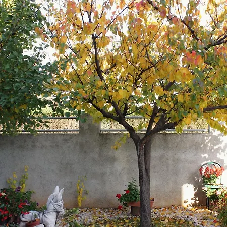 Apartment Apartments With Parking Space Zadar - Diklo, Zadar - 5875 Zadar