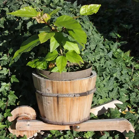 Apartments With Parking Space Zadar - Diklo, Zadar - 5875