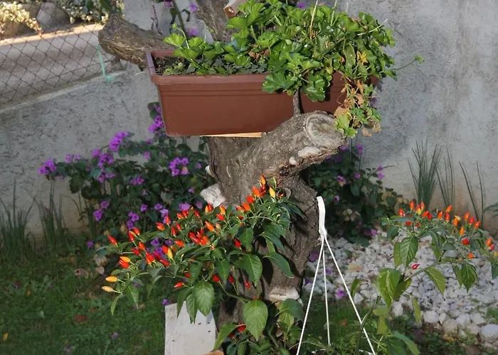 With Parking Space - Diklo, - 5875 Zadar